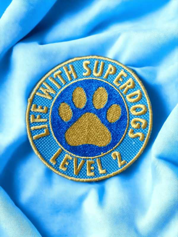 A blue and gold embroidered paw print badge on a light blue background. 