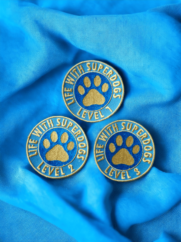 Three embroidered award badges on a blue background. 