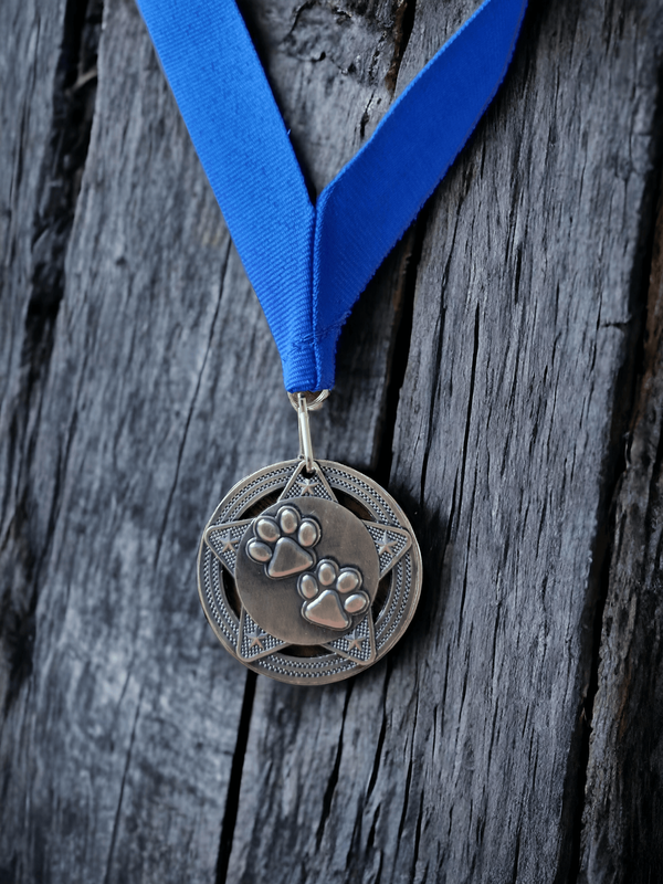 A bronze medal featuring two paw prints on a star background with a blue ribbon, placed on a wooden table. 