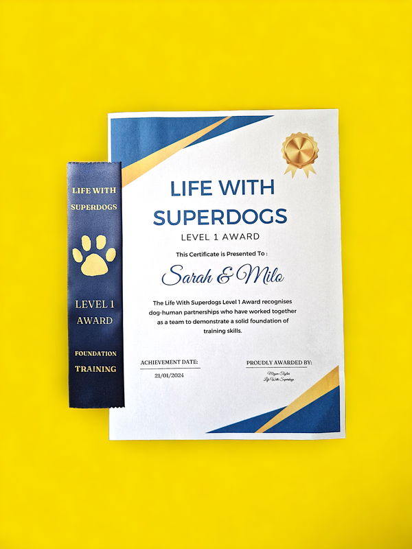 A white, blue and gold certificate with a navy blue award ribbon on a yellow background. 