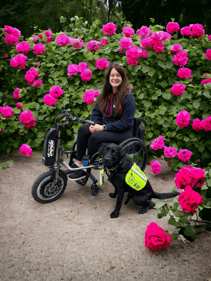 Megan, a female in her twenties is sitting in a wheelchair with a triride power attachment on the front. Assistance Dog Rowley, a black lab, is sitting beside her wearing a hi-vis yellow jacket. They are surrounded by pink roses. 